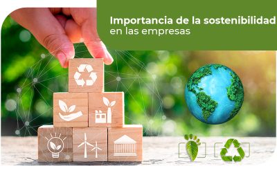 🌱 El rol de las empresas en la sostenibilidad ambiental: Más allá del 5 de junio