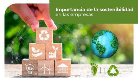 Sostenibilidad Ambiental Empresarial