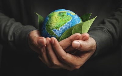 Día de la Tierra 2025: Cómo la Sostenibilidad Empresarial Impulsa el Éxito en Panamá