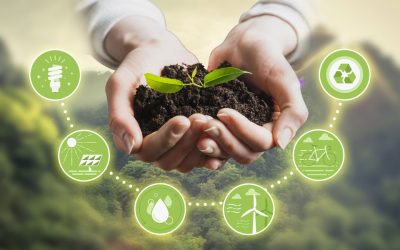 2️⃣0️⃣ Items para convertir tu empresa en un modelo de sostenibilidad en Panamá